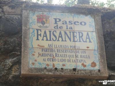 Bosques de Valsaín y Real Sitio de La Granja: Ruta de Senderismo; cristal de roca senderismo senderi